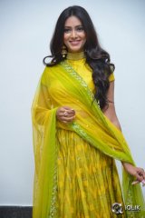 Pallavi Subhash At Naruda DONORuda Movie Audio Launch